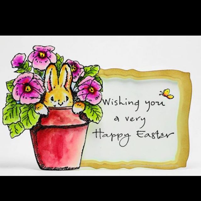 Happy Easter from LEGACY MEDICAL🐣🐣🐣🐣