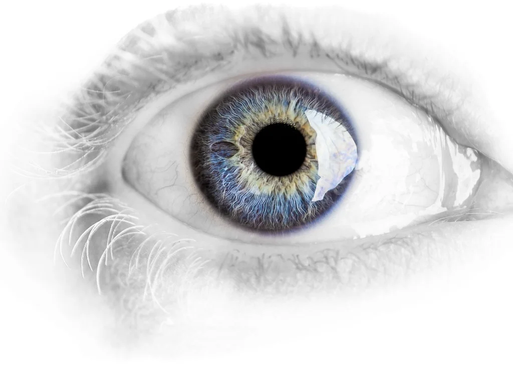 L macro-blue-eye-with-lots-of-details-isolated-on-white-picture-id450664975.jpg
