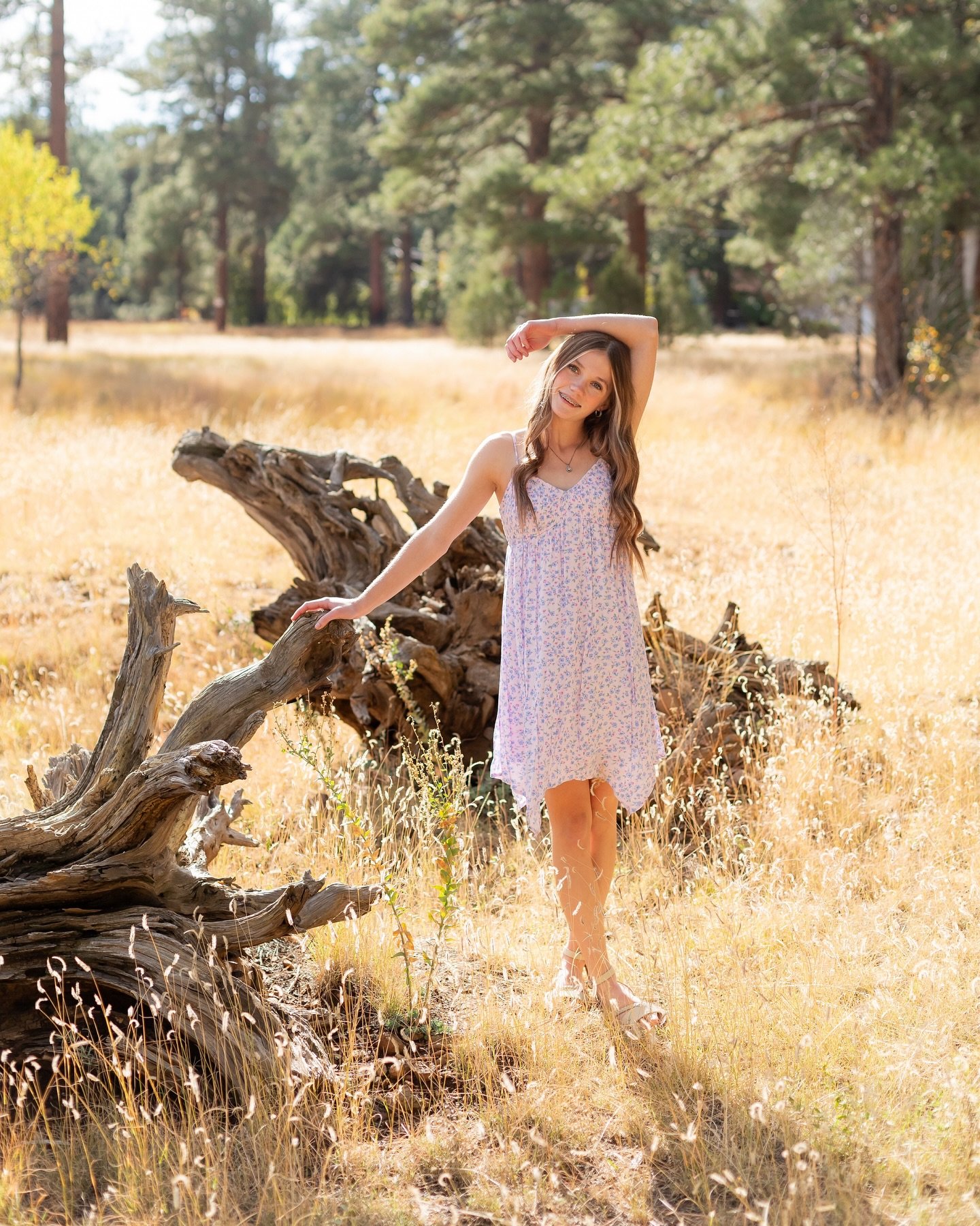 Madyson up in Munds Park for her graduation portraits - I love this time of year because the weather is finally starting to drop and we can go have some fun 🏃🏻&zwj;♂️ the lighting also was HITTING - plz enjoy 

Congratulations @madysonsimanson ✨