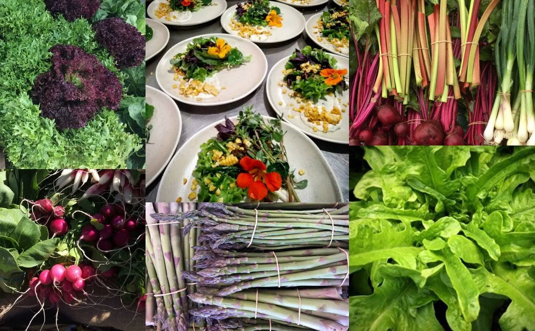 Spring Salad Spectacular Long Lunch!