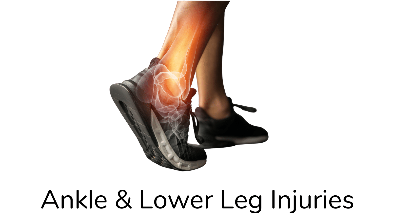 Ankle &amp; Lower Leg Injuries