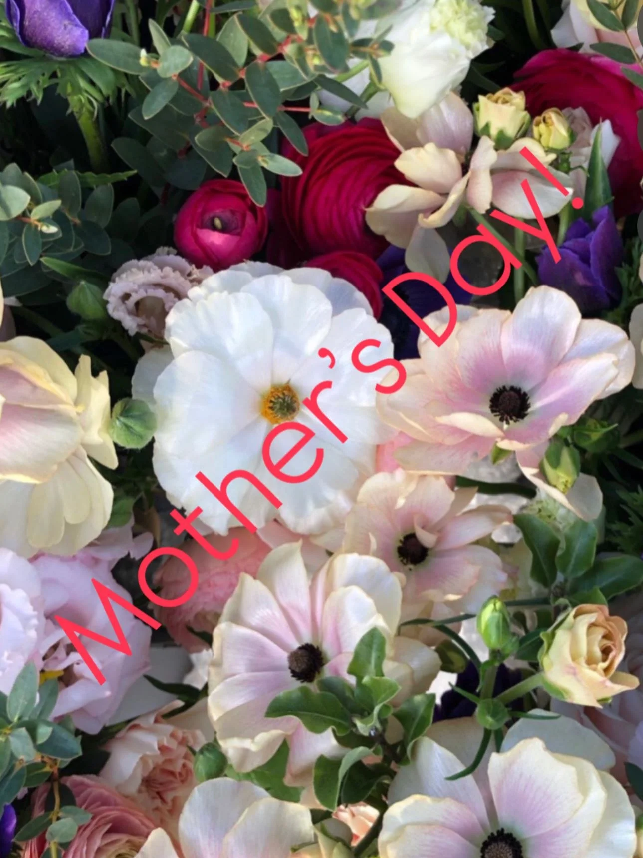 Mother&rsquo;s Day is falling early this year on 15th March. Head over to our website or call 07769 722164 to place your flower order and make your Mother&rsquo;s Day!  Delivering Sunday, 15th March. .
.
.
#florist #thecotswolds #gloucestershire #war