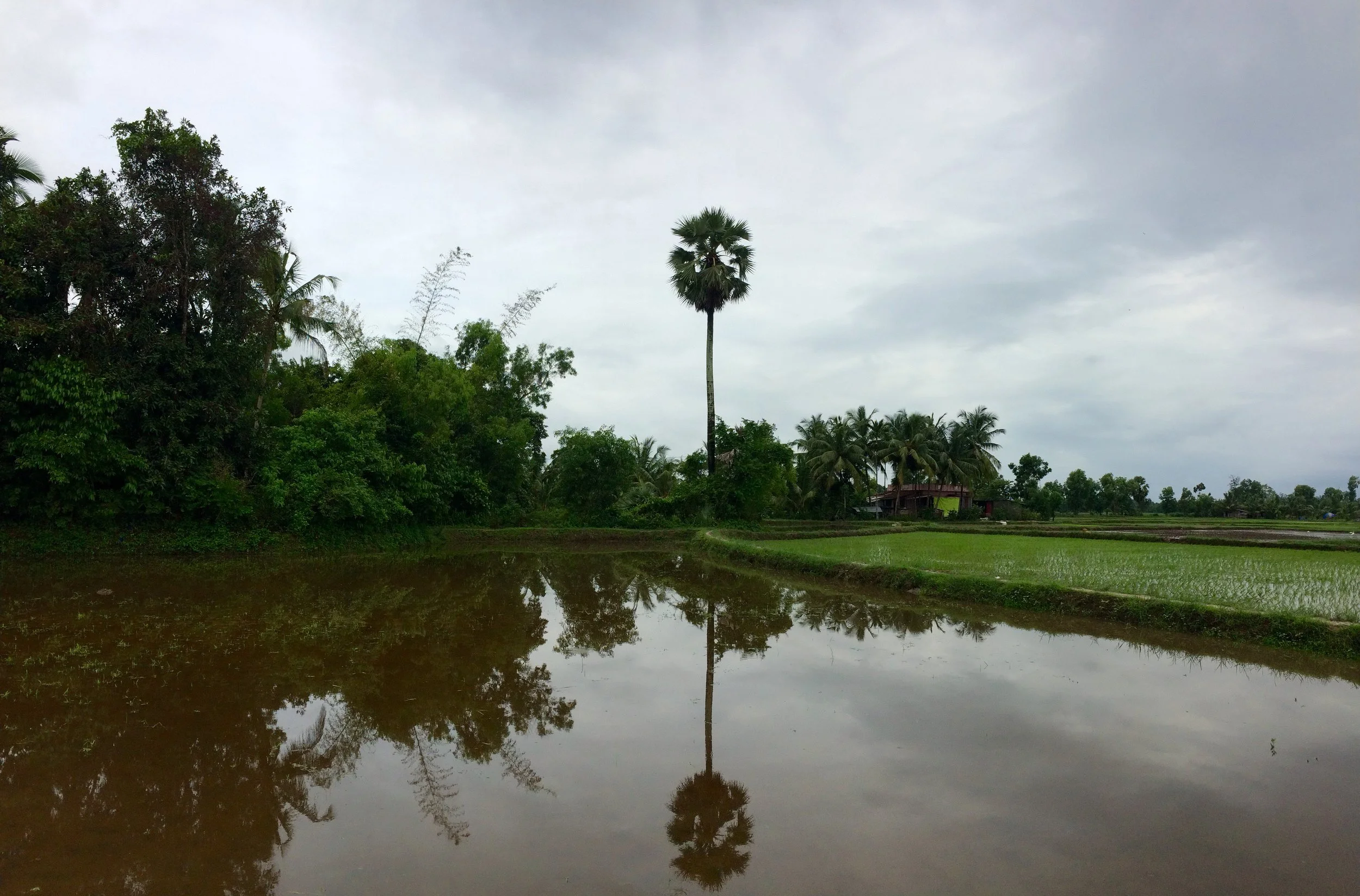 ಮಳೆಗಾಲದ ದೃಶ್ಯಾವಳಿ Monsoon scenes