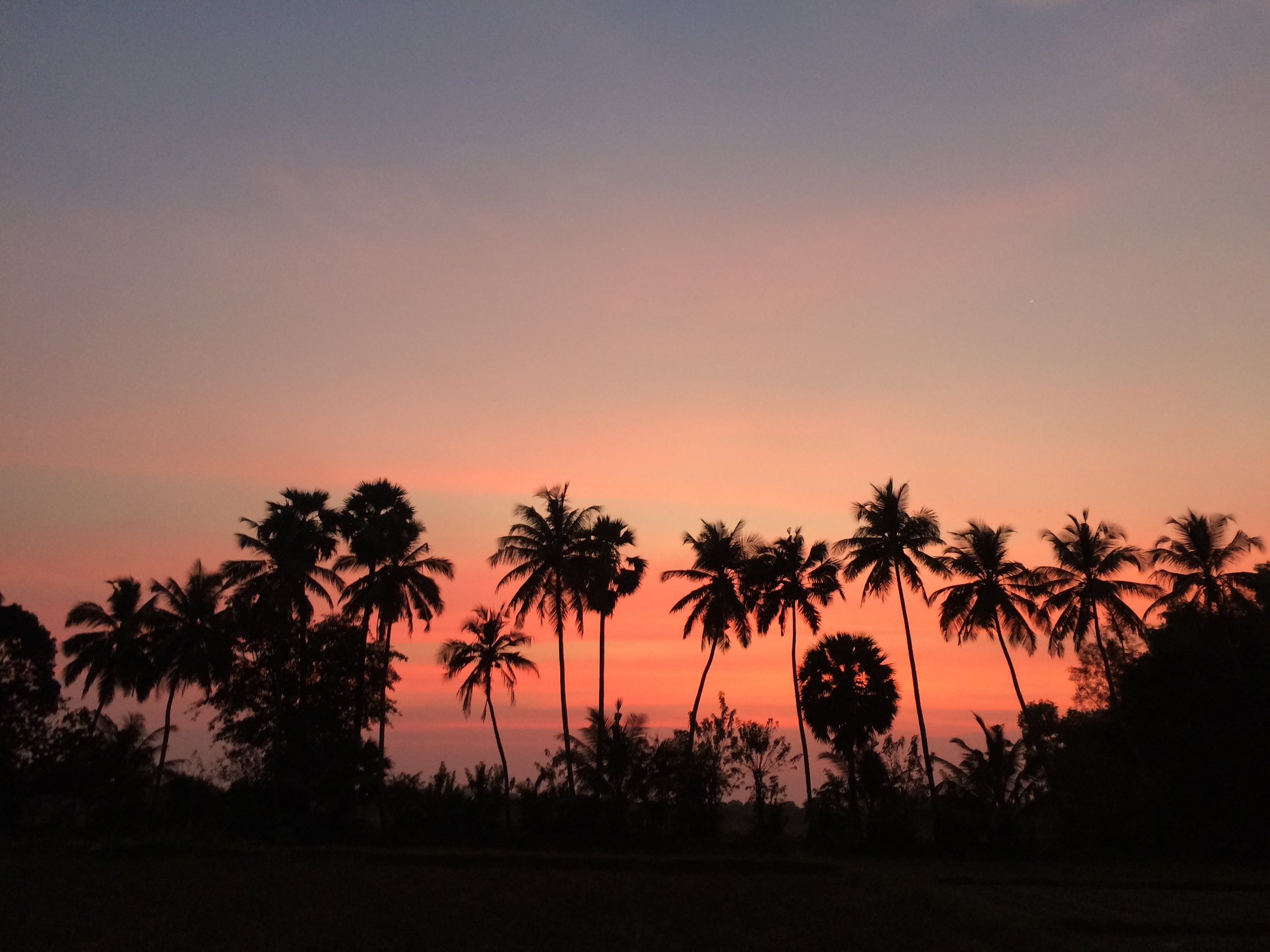 ಬೇಸಿಗೆಯ ಮುಸ್ಸಂಜೆ A summer evening