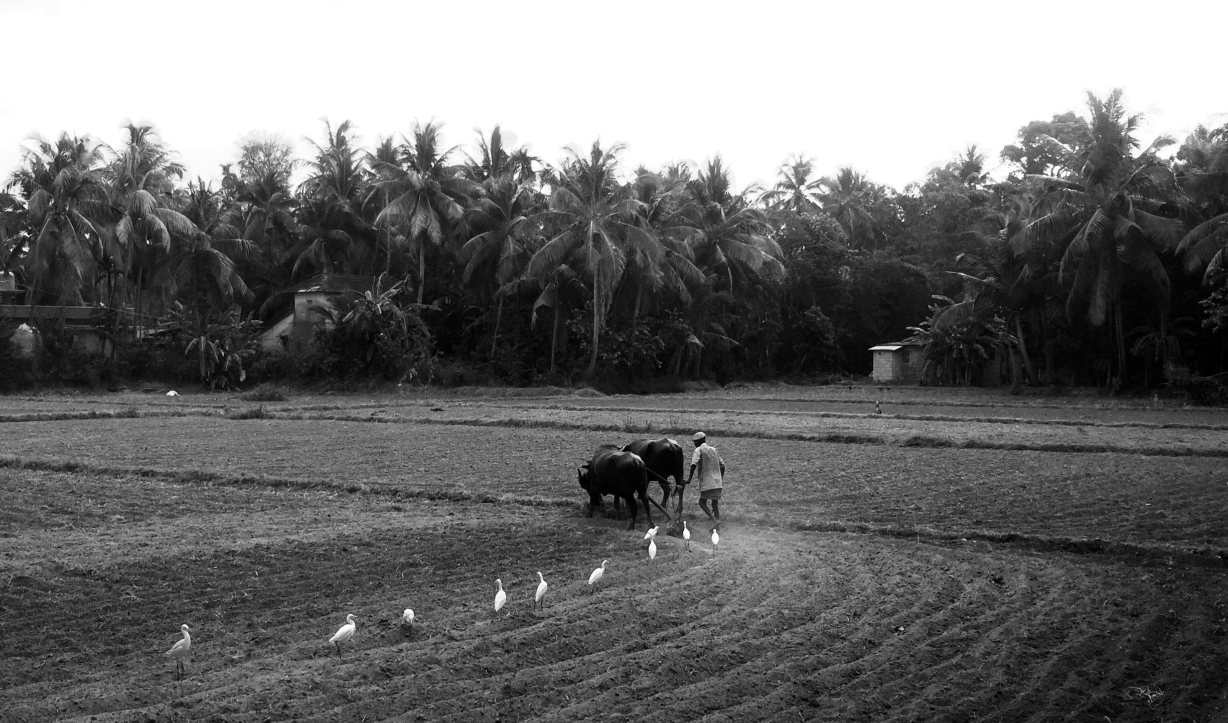 ಹಳೆಯ ಪದ್ಧತಿಗಳು ಇನ್ನೂ ನಡೆಯುತ್ತಿವೆ Old ways still runs strong