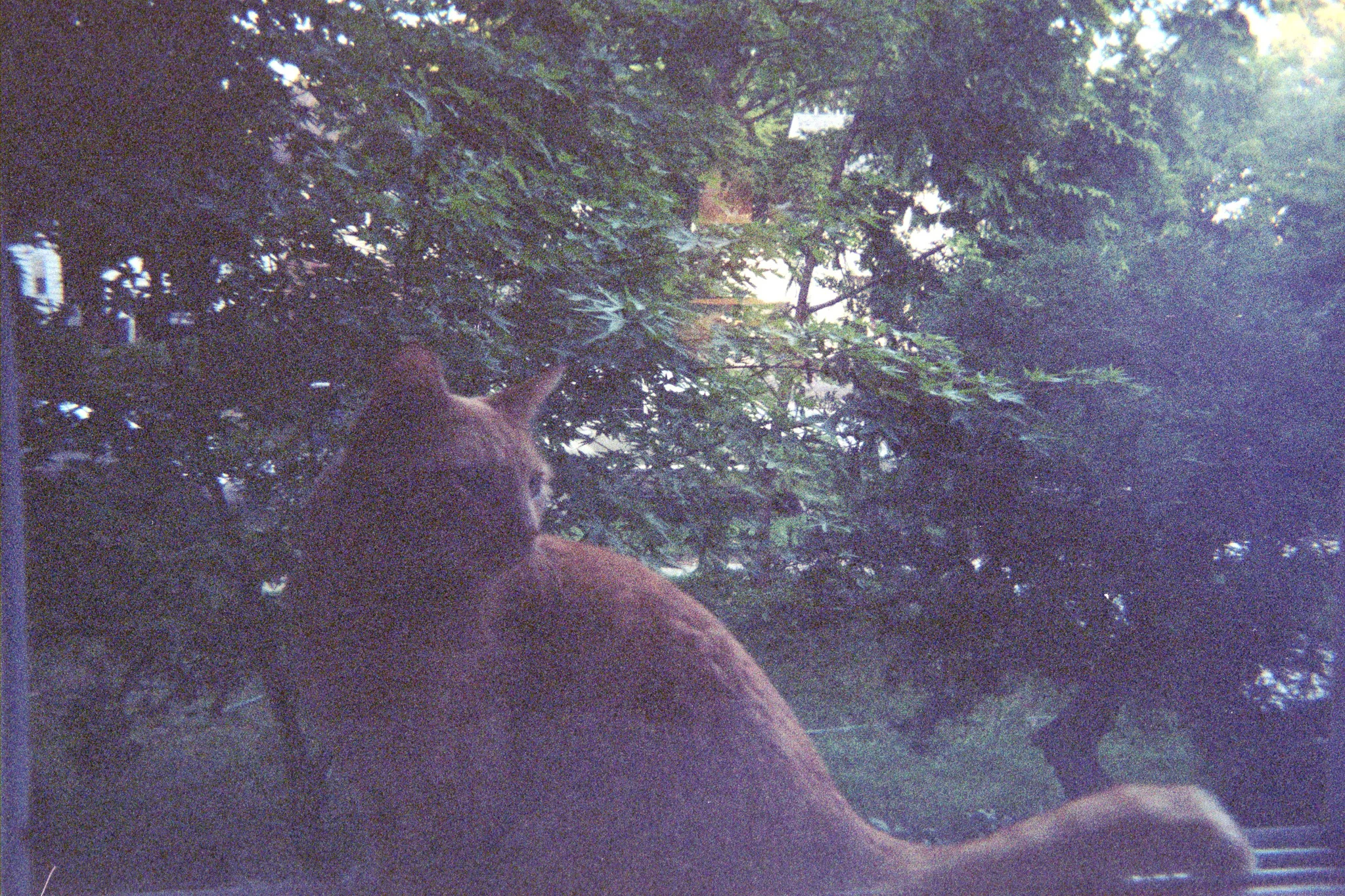 27.jpg