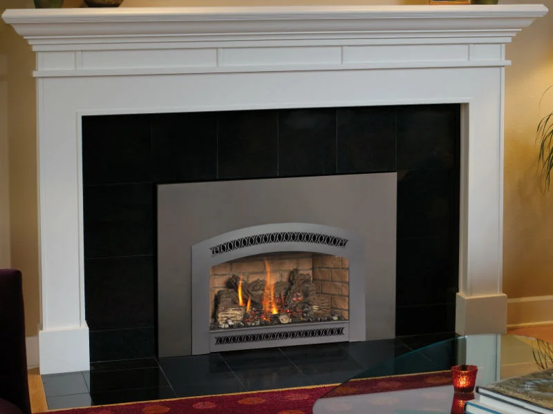 Northern Michigan’s Fireplace Xtrordinair 31 DVI gas insert retailer.