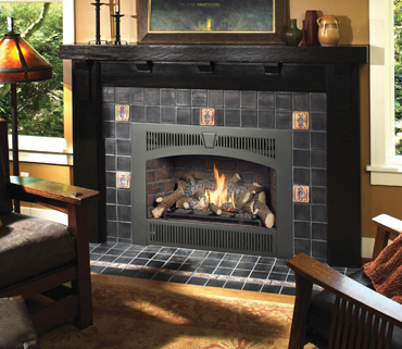Northern Michigan retailer of the Lopi 564 High Output gas fireplace.