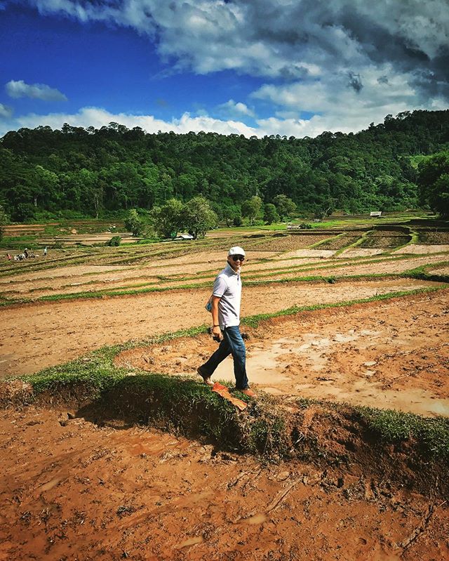 Preparing for rice planting #paddy #fields #rice #planting #rainy #season #farming #lifestyle #outdoors #living #instatravel #chiangmai #thailand #unpacked #adventure #worldtraveler #photooftheday #instaphoto #nature