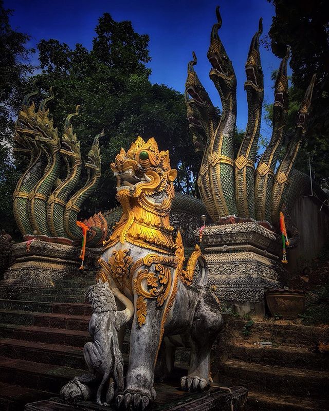 #thailand #art #architecture #temple #guardian #singha #naga #beautiful #design #instatravel #amazingthailand #chiangmai #travel #traveltheworld #travelphotography #instaphoto #lifestyle #photography #iphone6s #iphonephotography #camera #maenaigarden