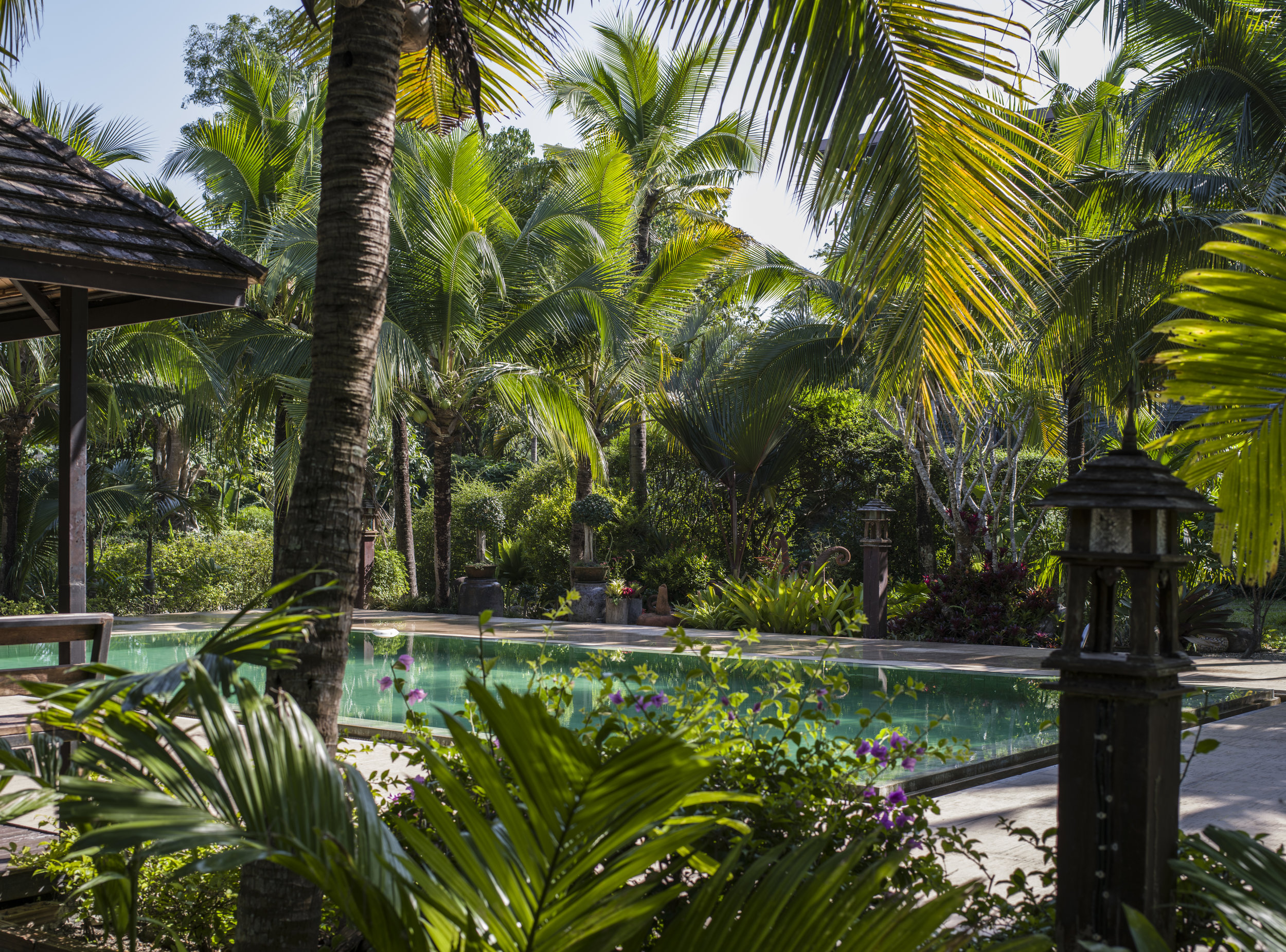 mae nai pool shot-3 (Jesper Thomsen's conflicted copy 2018-12-05).jpg