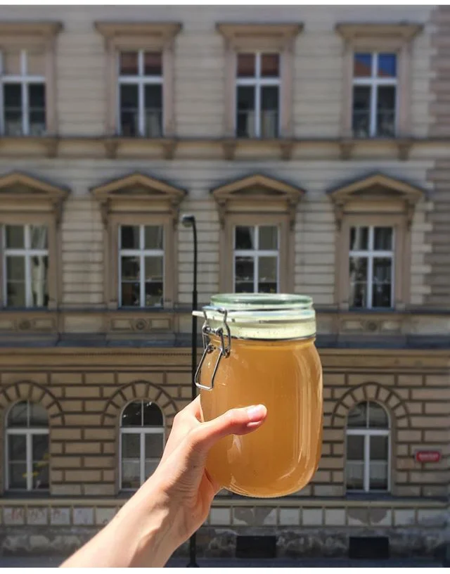 Benefits of Bone Broth