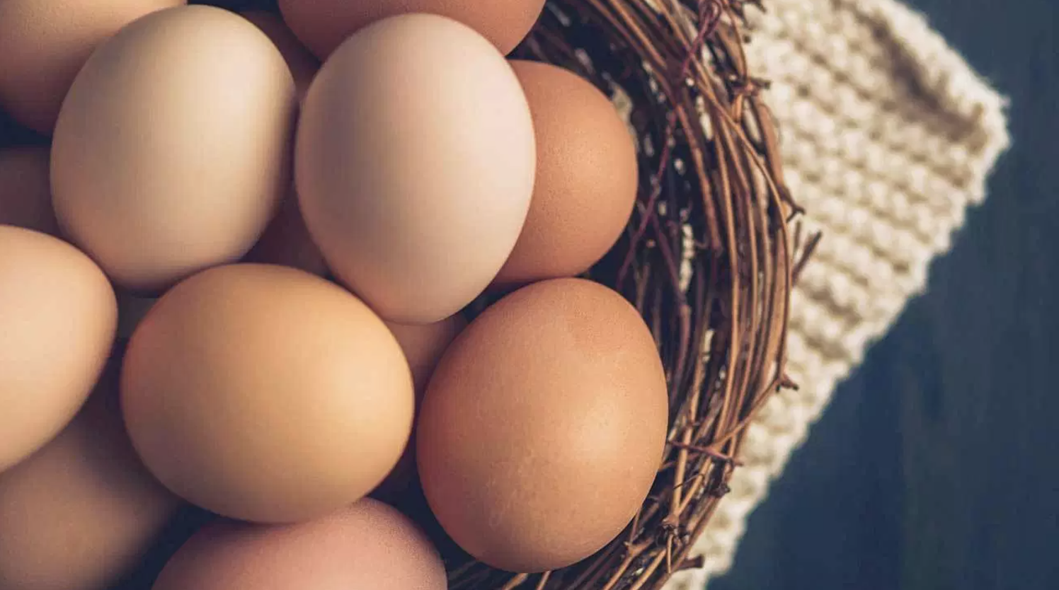 All about Eggs + two recipes!
