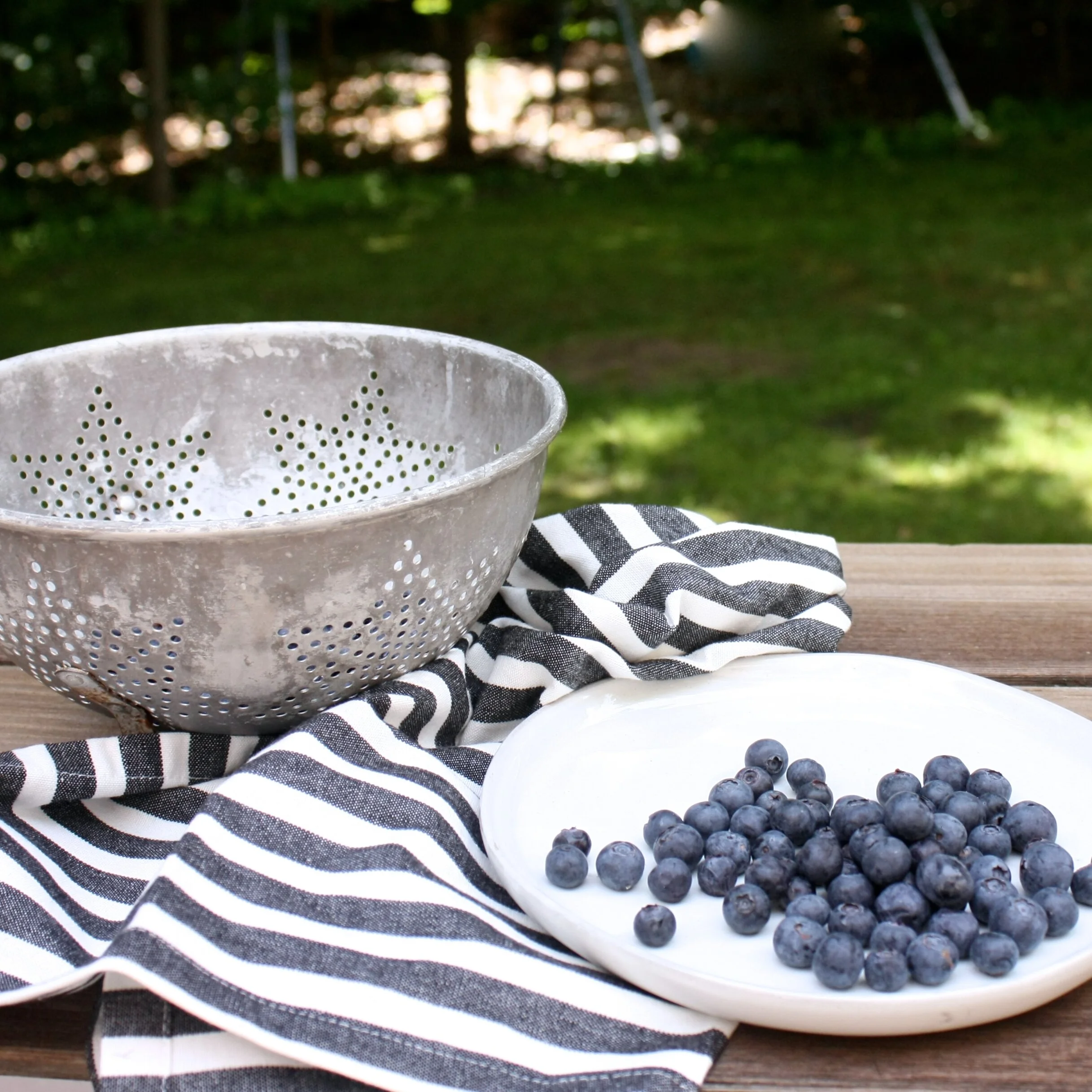 All about Blueberries + a recipe!