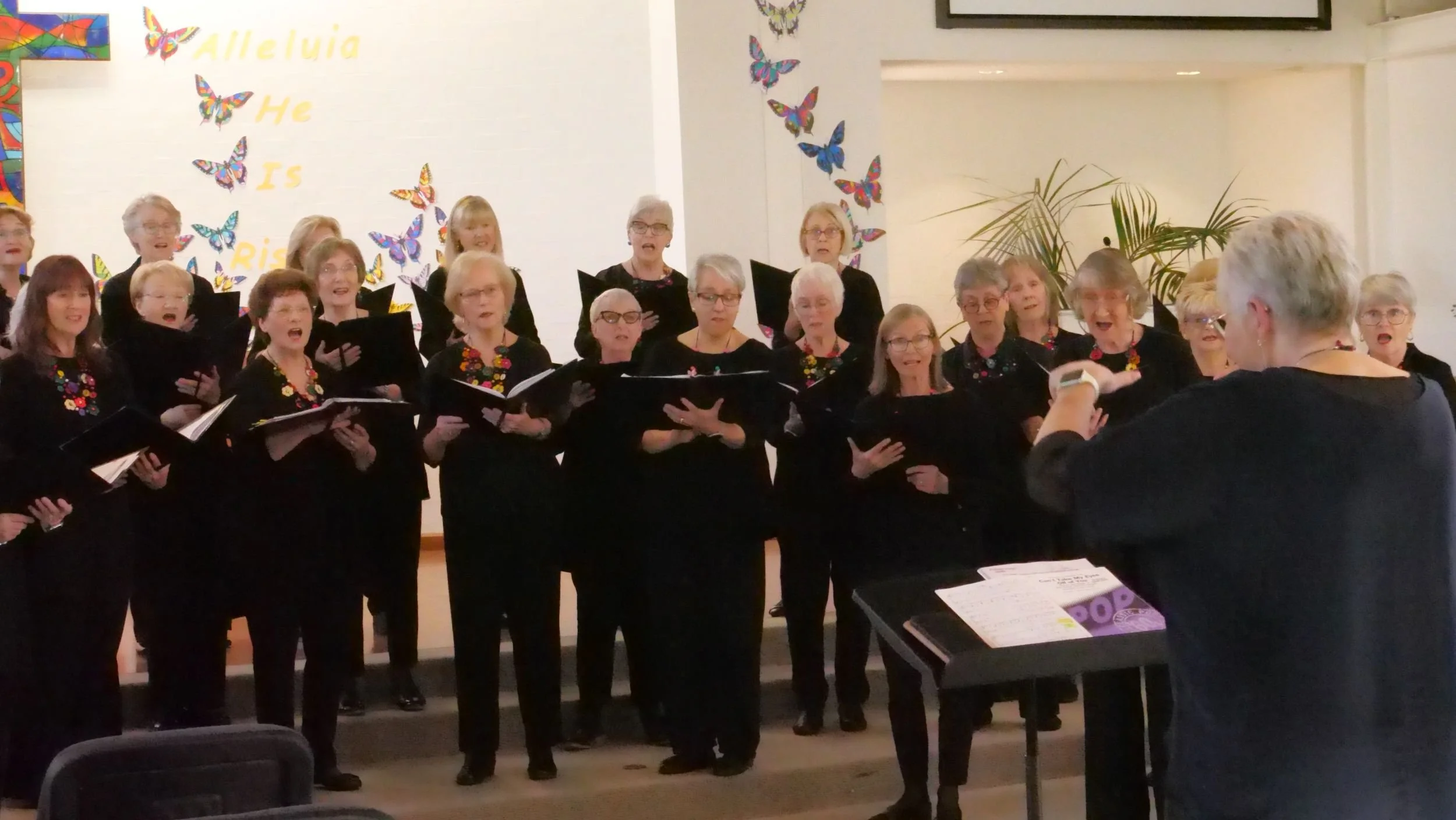 POPconcert may2025_00.JPG