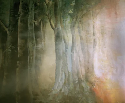 Libbi_King_WoodlandS.jpg
