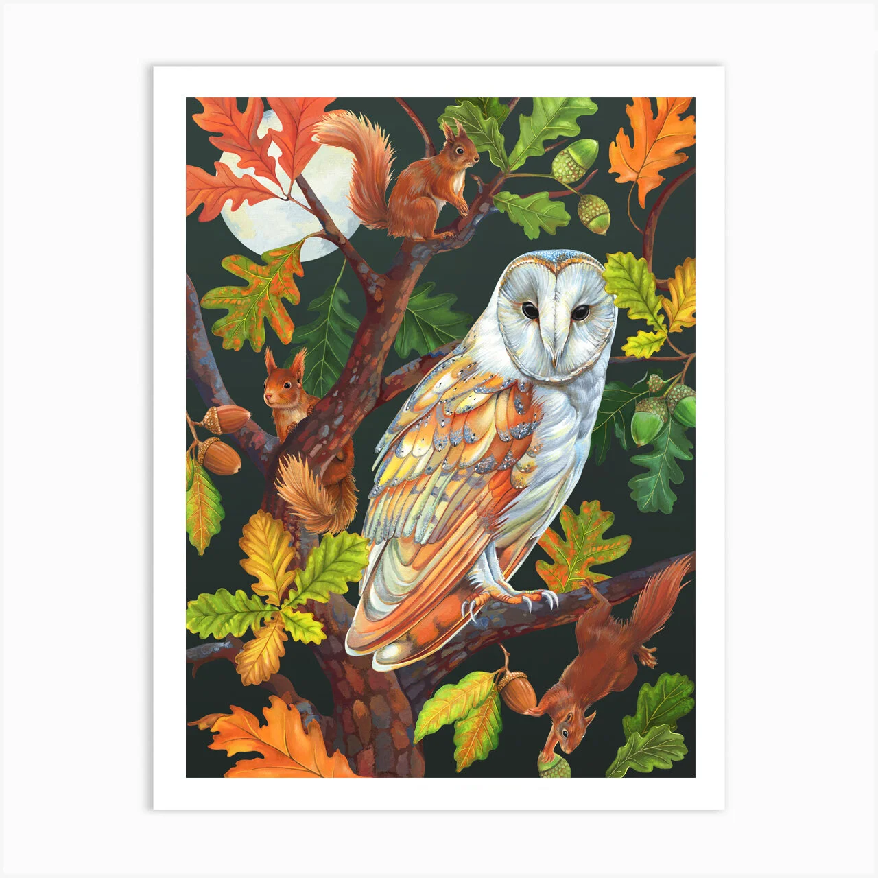 Libbi_King_Night_Owl_Print.jpg