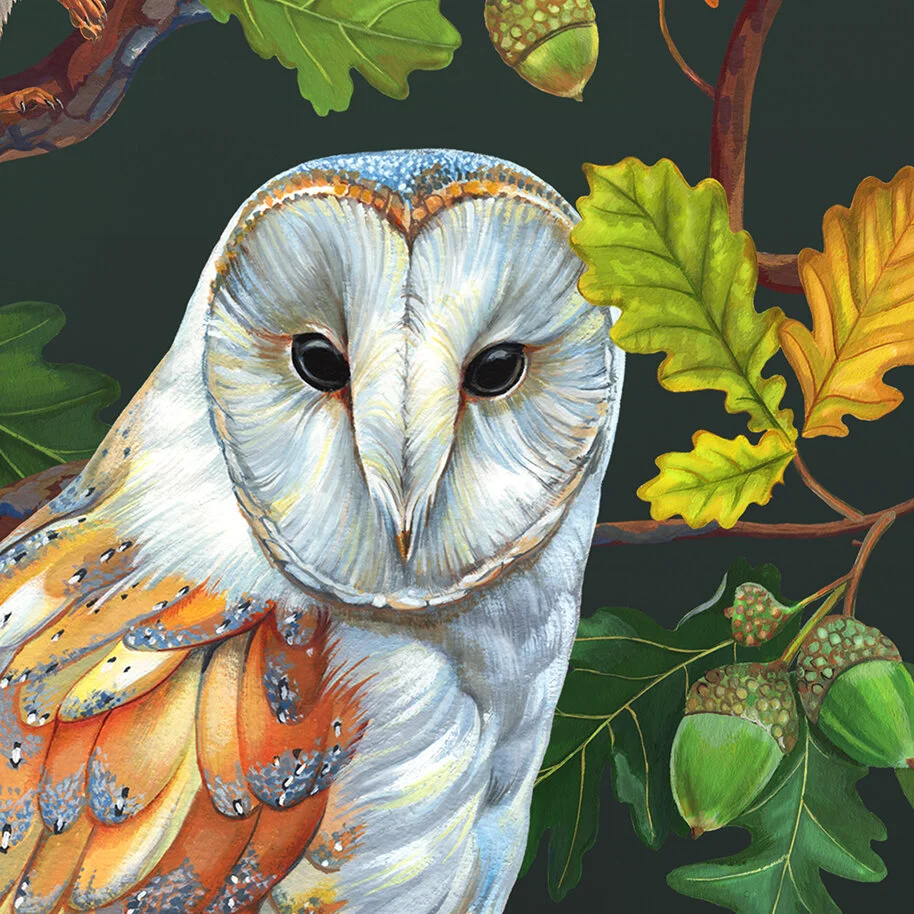 Libbi_King_Night_Owl_crop3LR.jpg