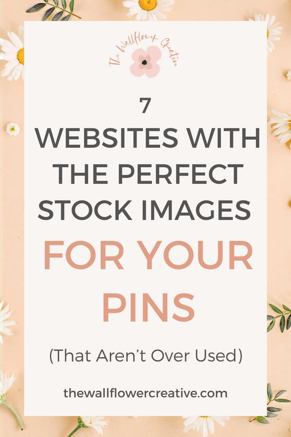 Pin on websites