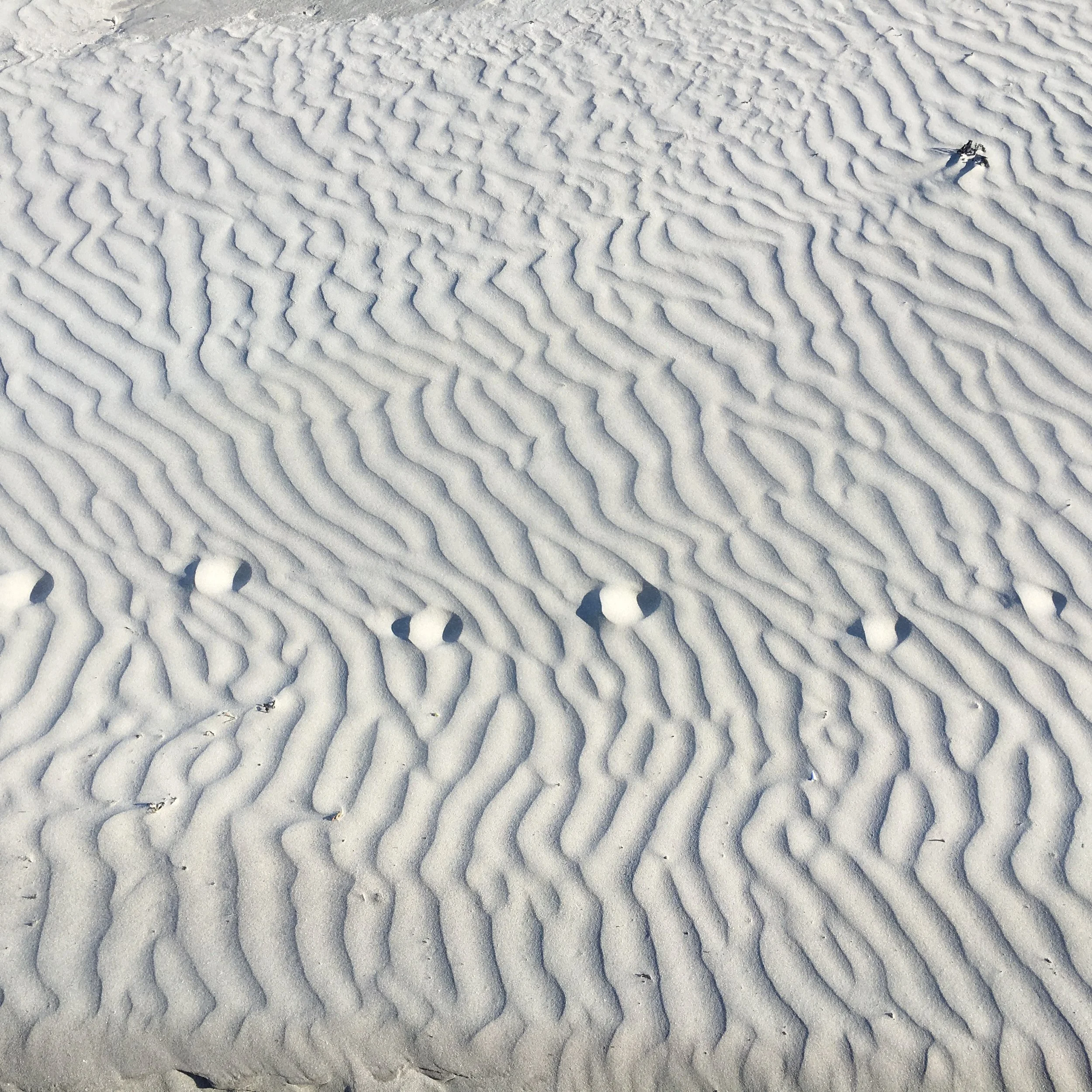 Extinction Rebellion 