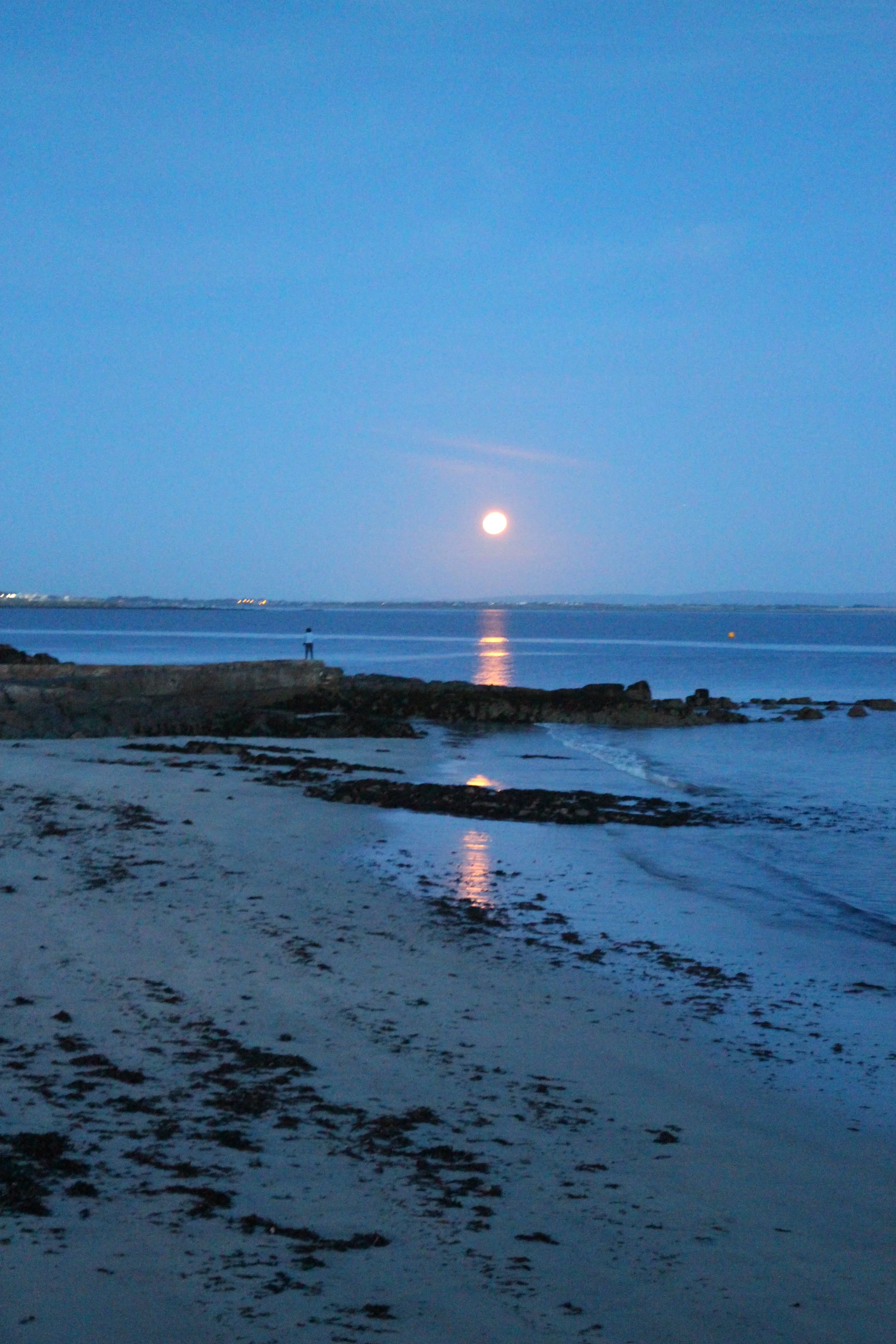 추석 달맞이 수영 