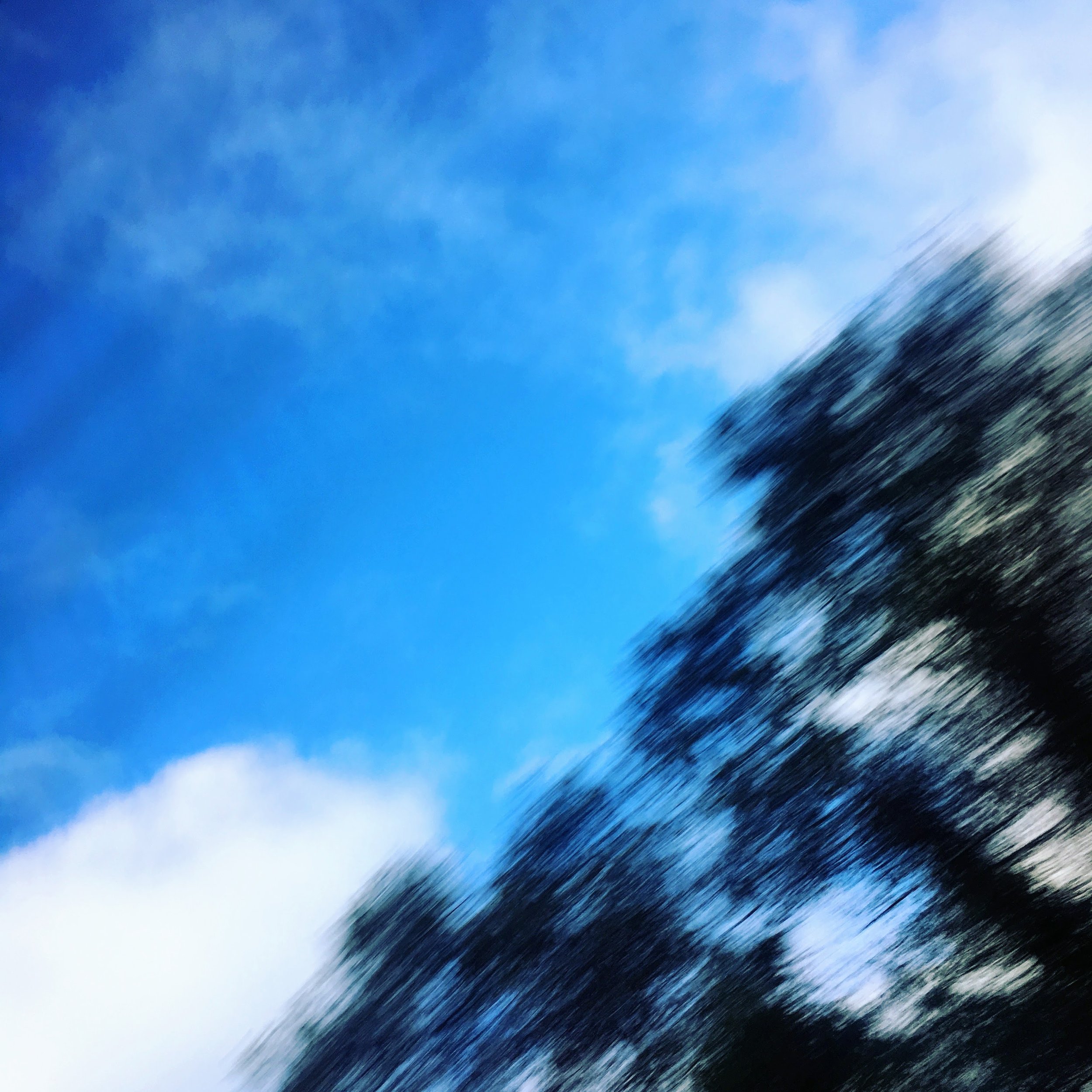 Fear is what can't be trusted 