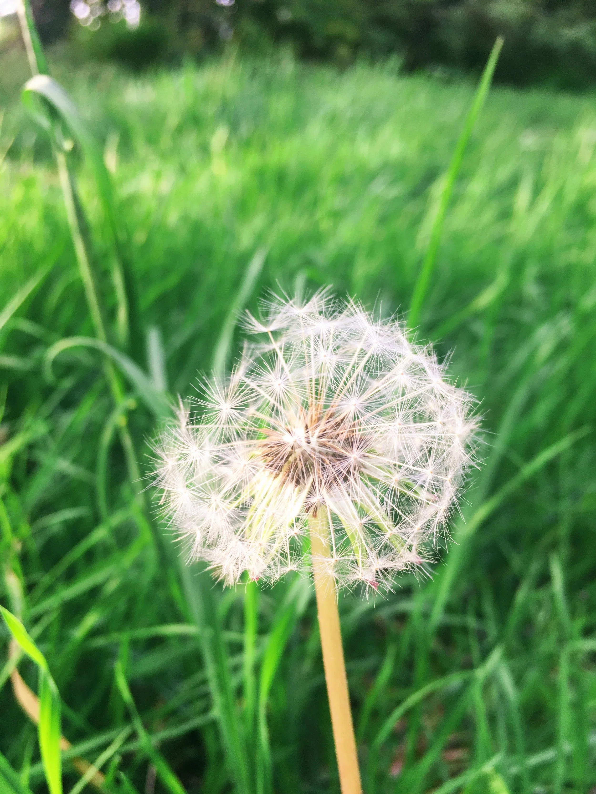 어떤 목적도 목적이 아니다 