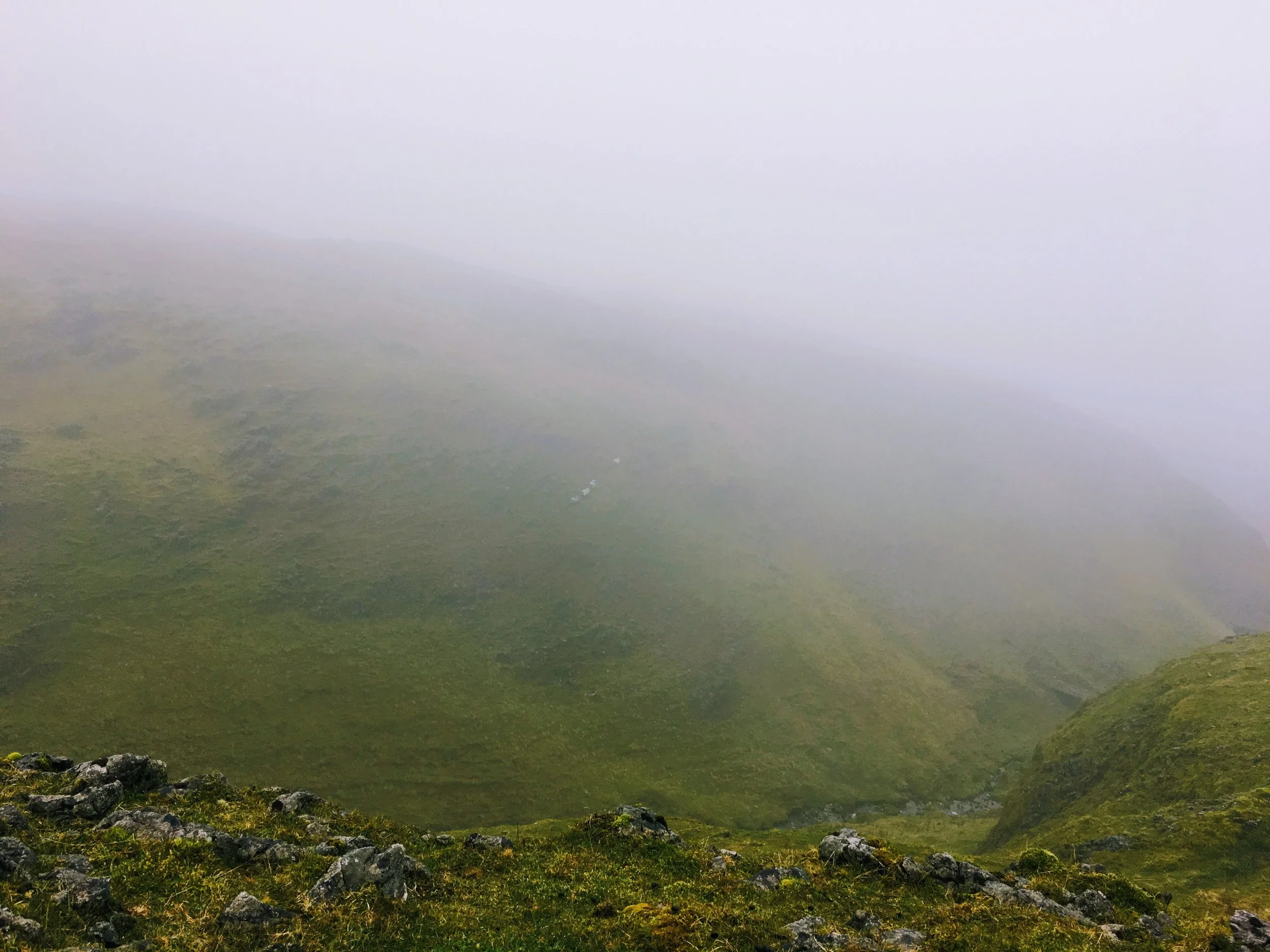 어딘가로 가야하는 마음에게 