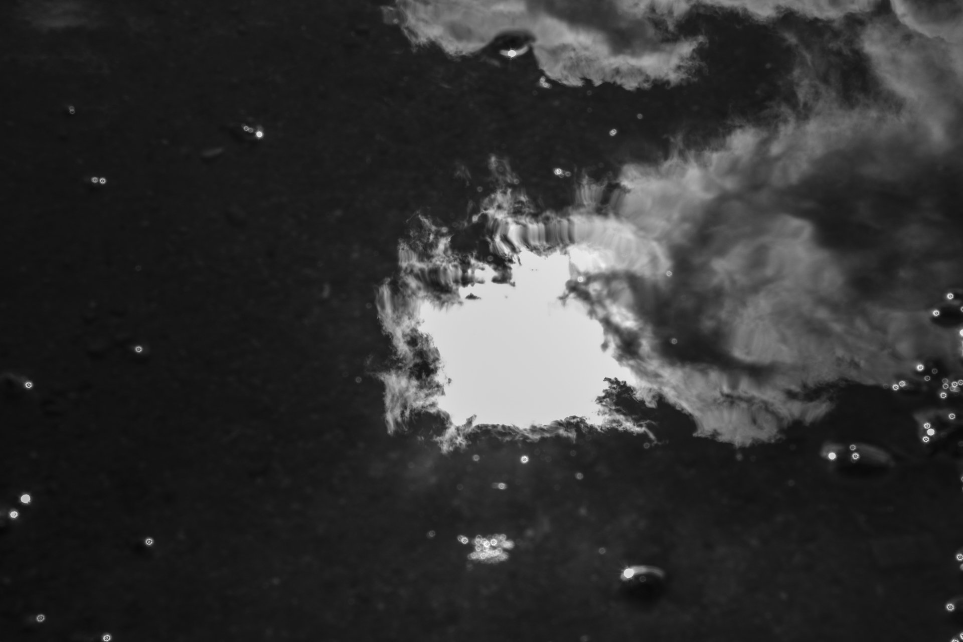 FRANCOIS-4.jpg