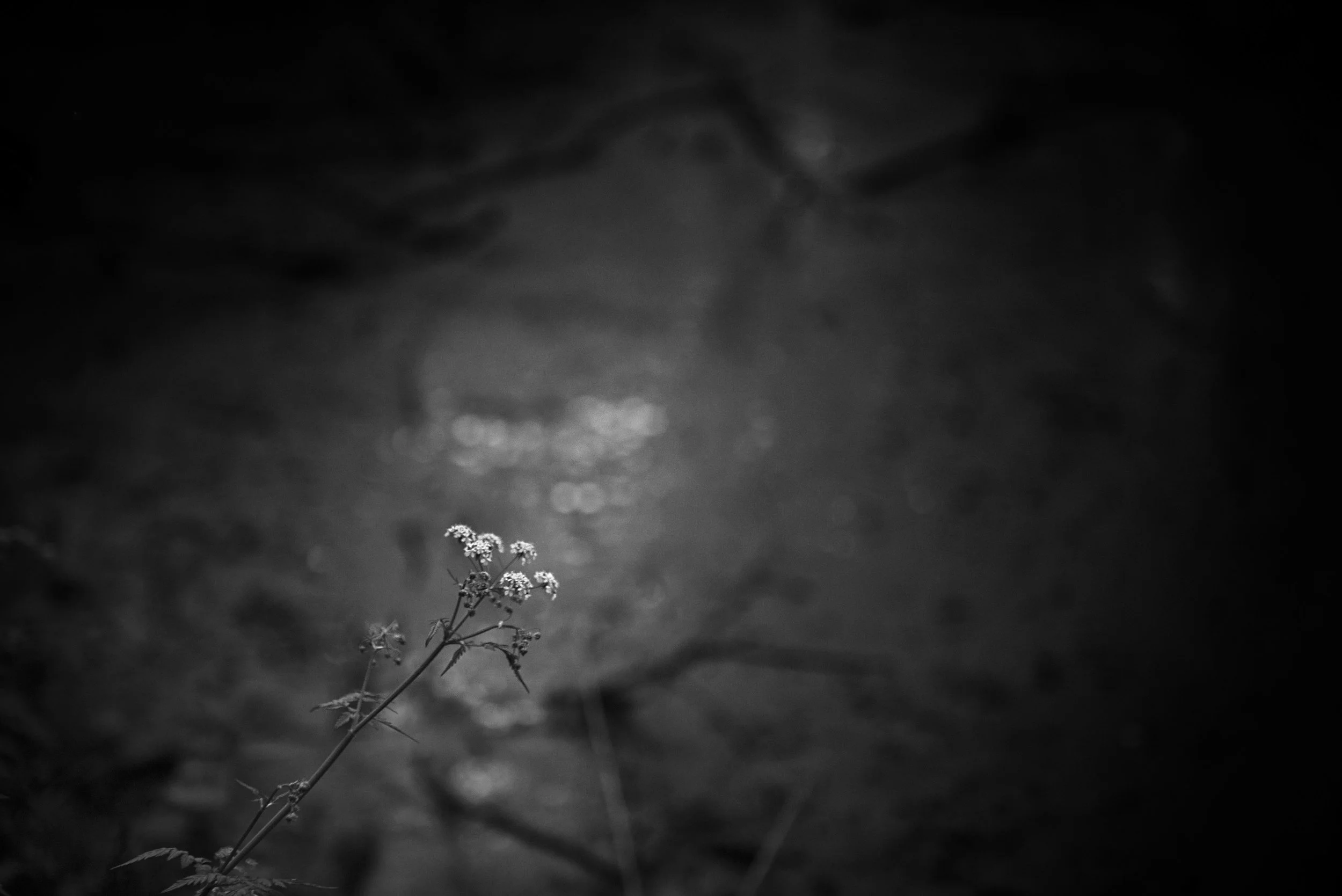Sorcières05.jpg