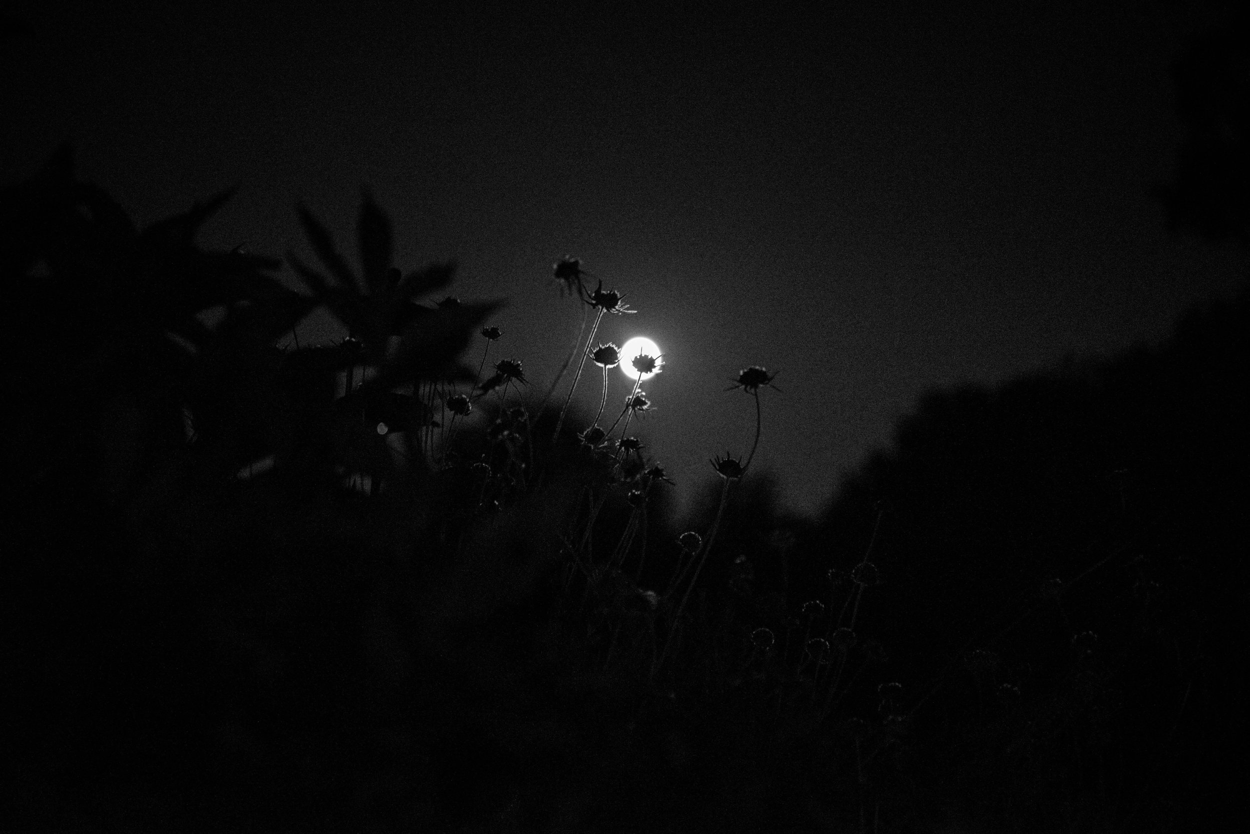 Sorcières24.jpg