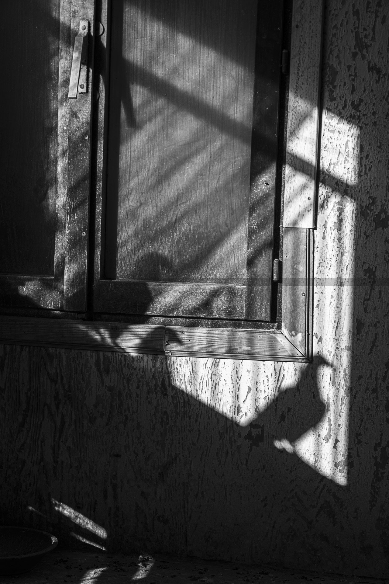 Christophe Escouflaire-11.jpg