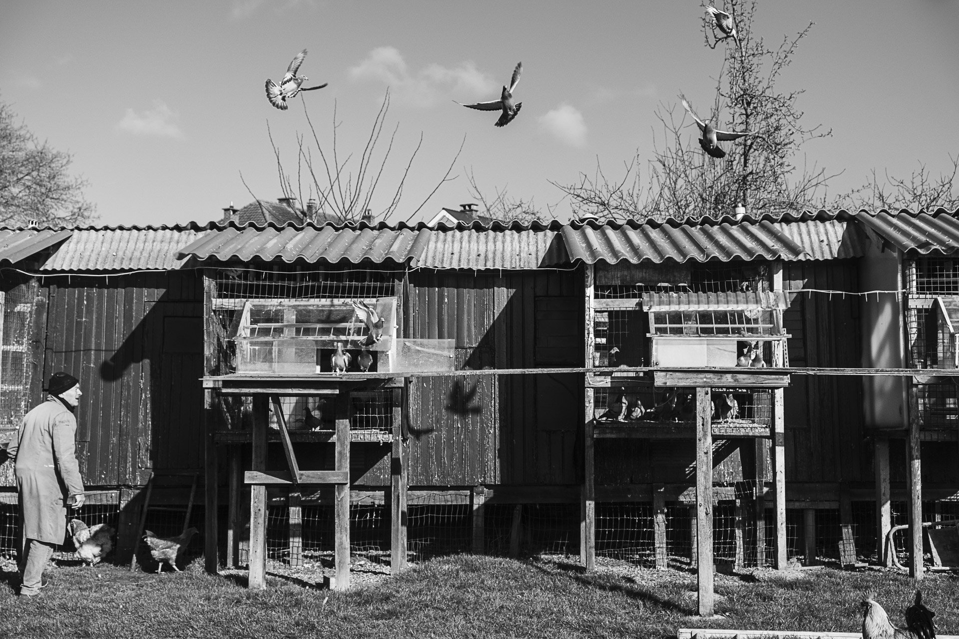 DSCF1955.jpg