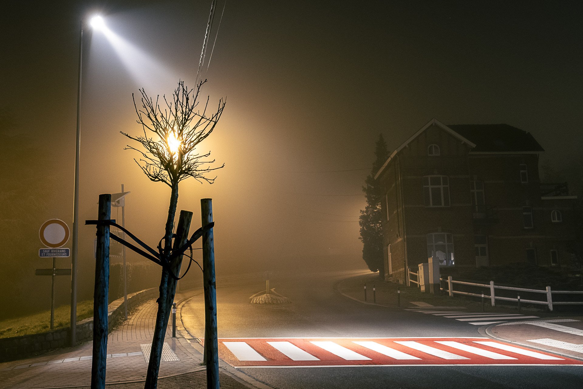 DIDER PETRE-8.jpg
