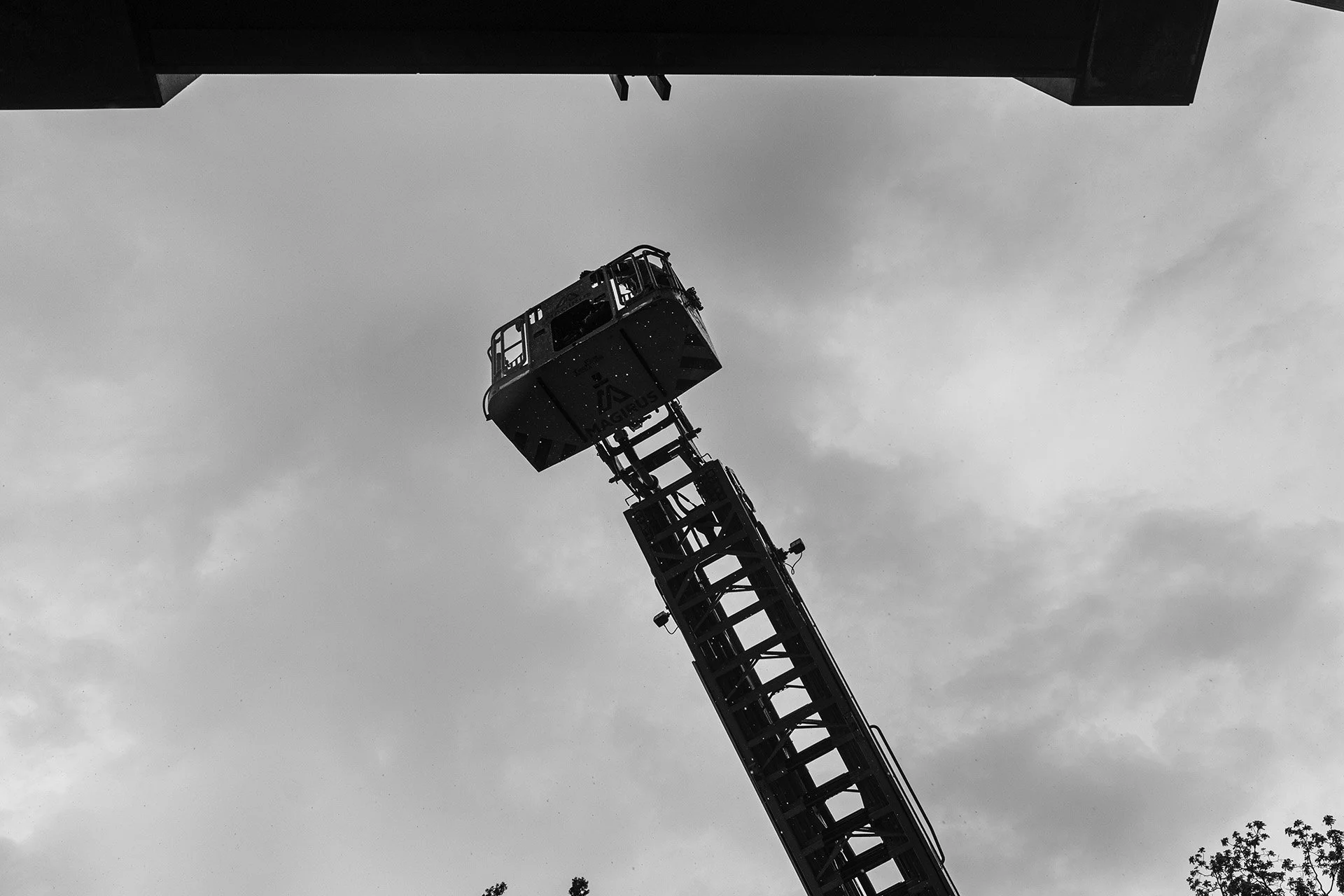 FREDERIC PAUWELS-2612.jpg