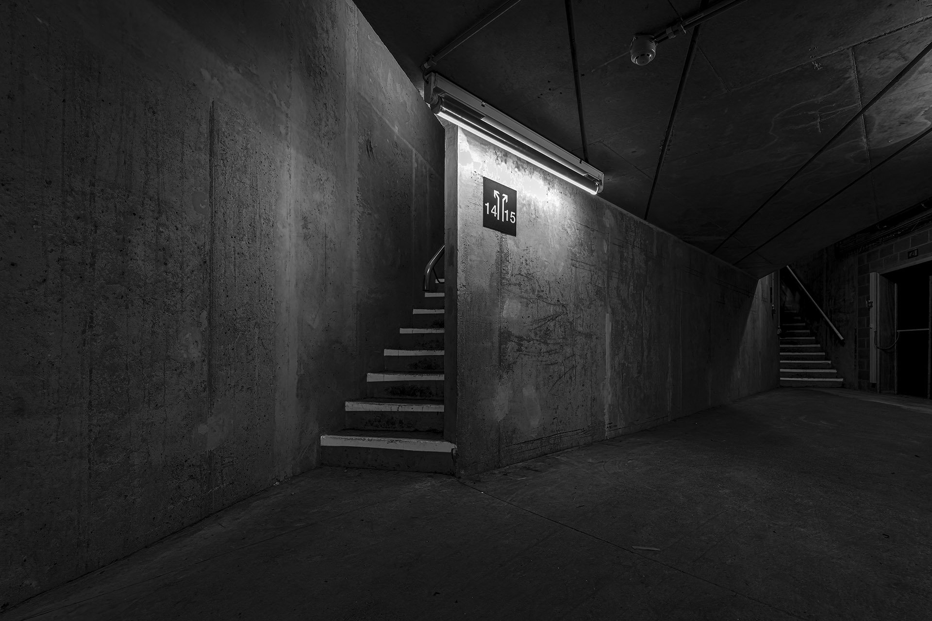 _XT25437-RAF_DxO_DeepPRIMEXD-Modifier.jpg
