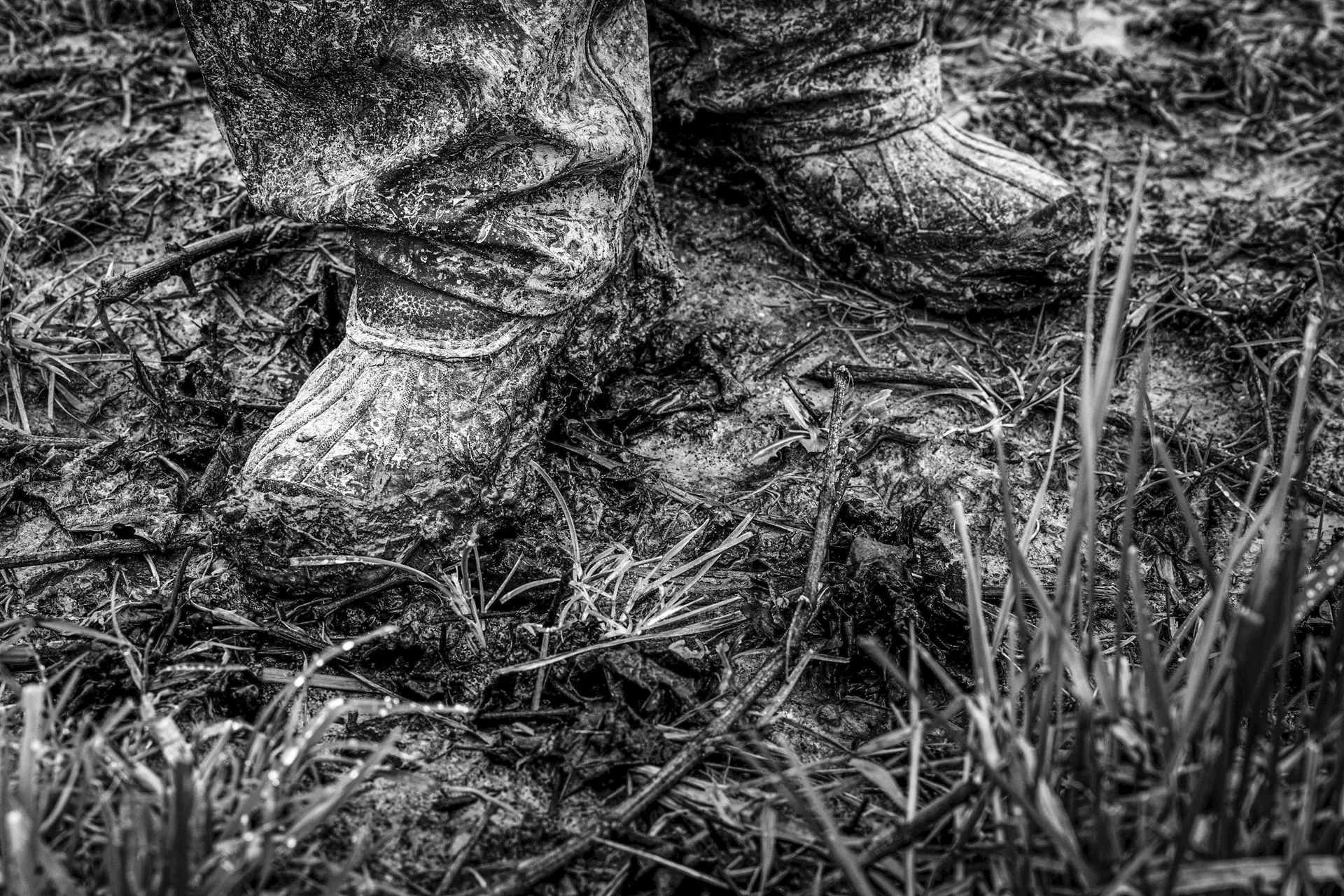 Coteaux_Avelines_Taille_IMG_3224.jpg