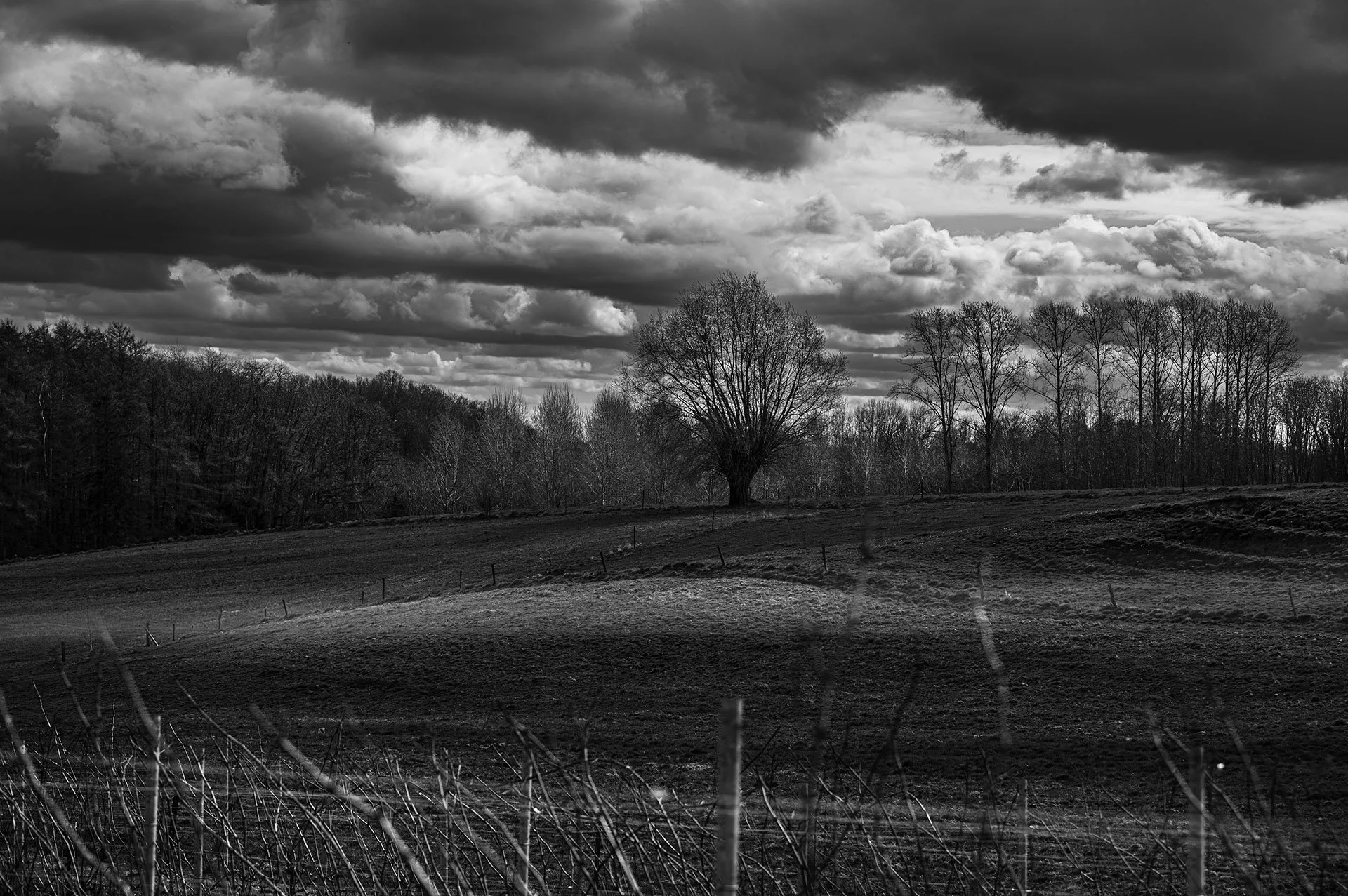 _DSC0072.jpg