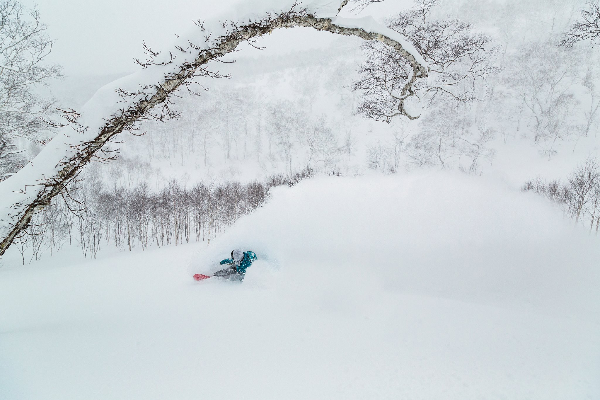 Get the best powder shots