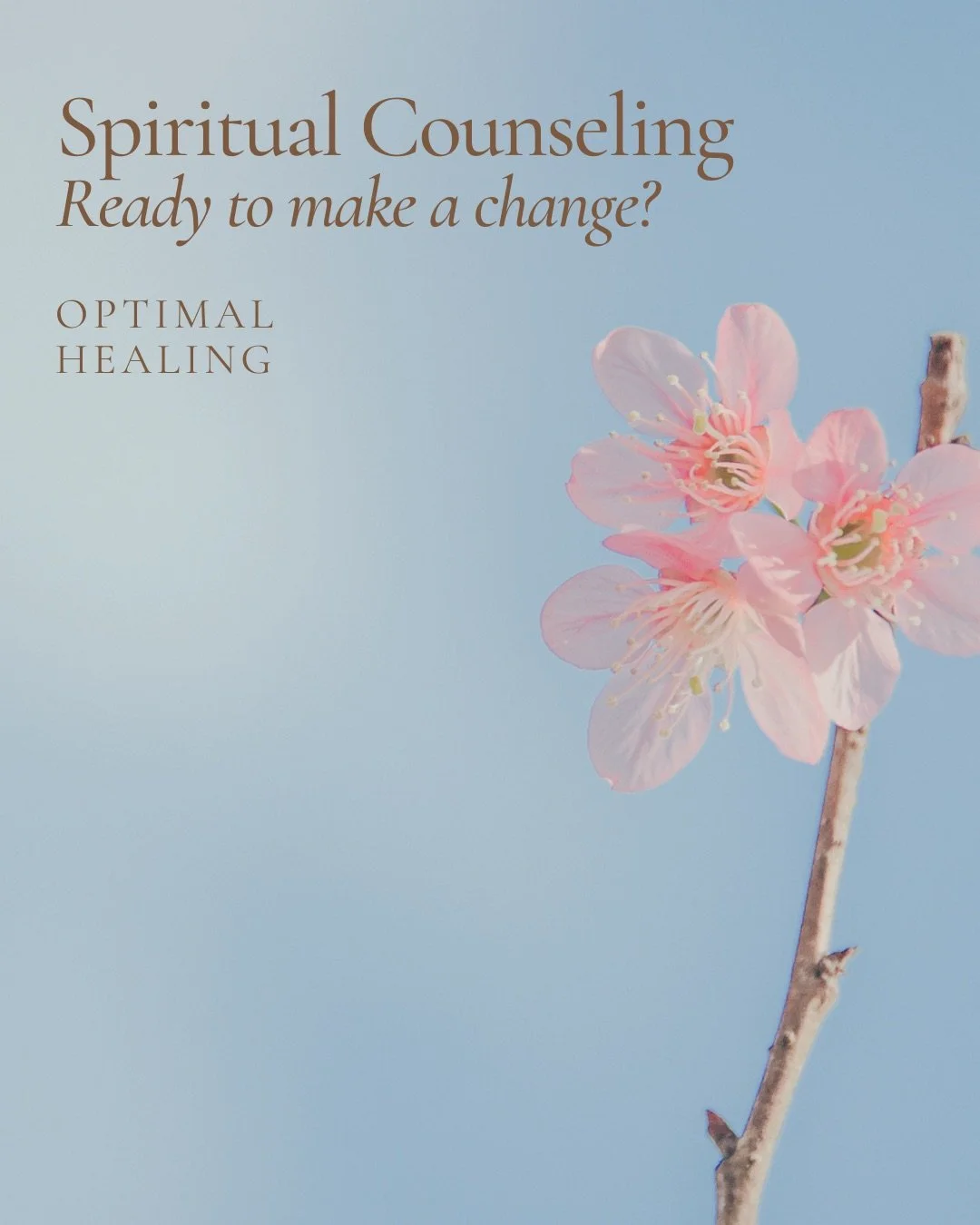 Spiritual Counselling