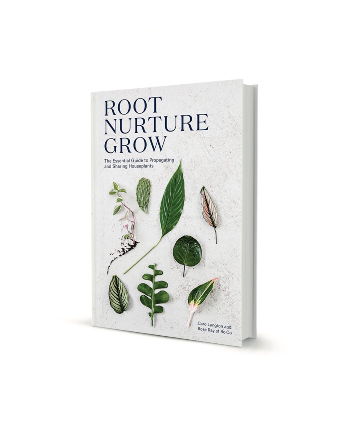 Root Nurture Grow Cover.jpg