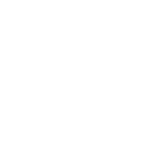 PPPISTOL.png