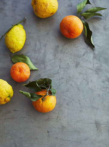 YS_Galery 1_Oranges&Lemons_v1.jpg