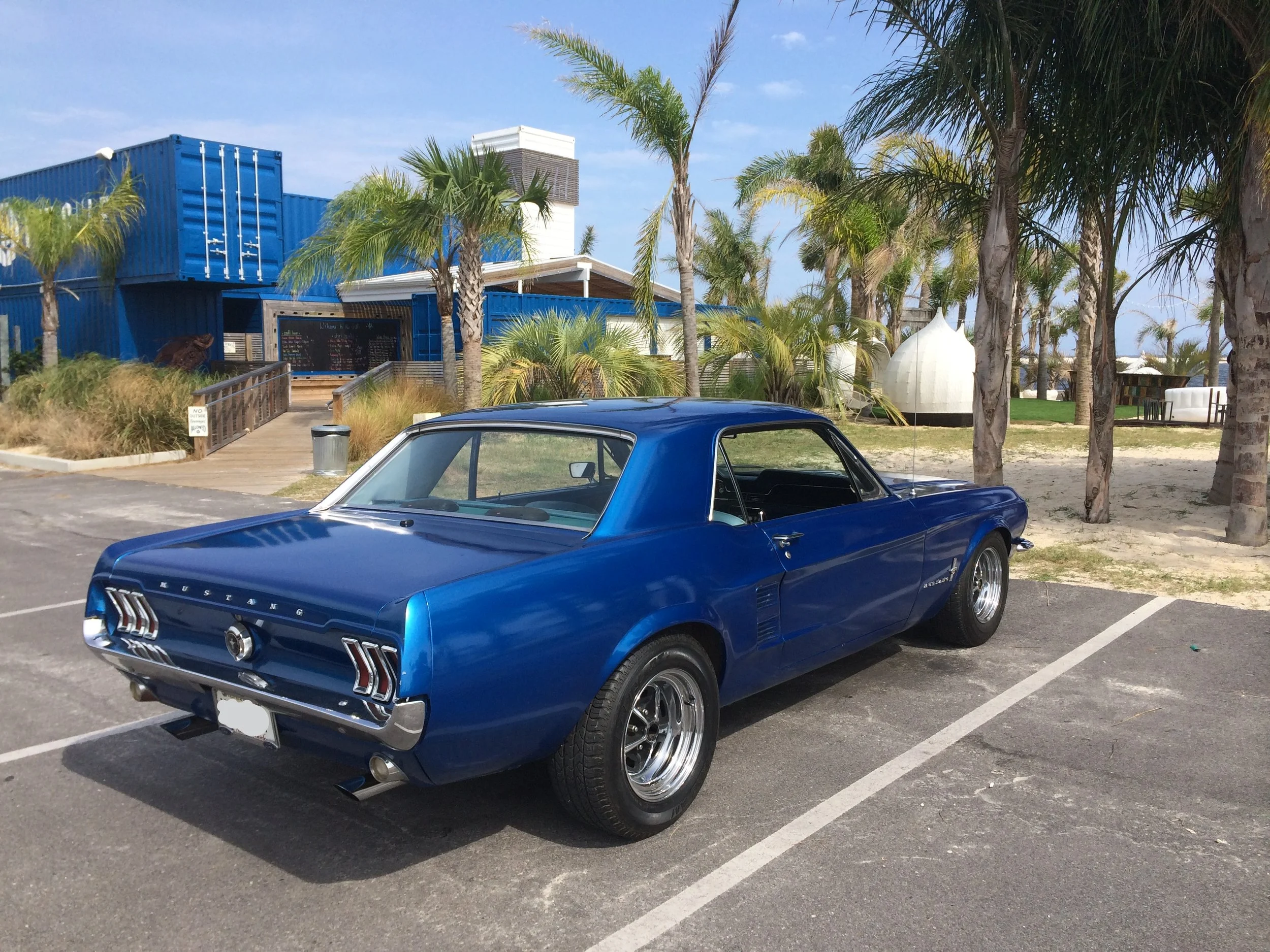 67MustangNP.jpg