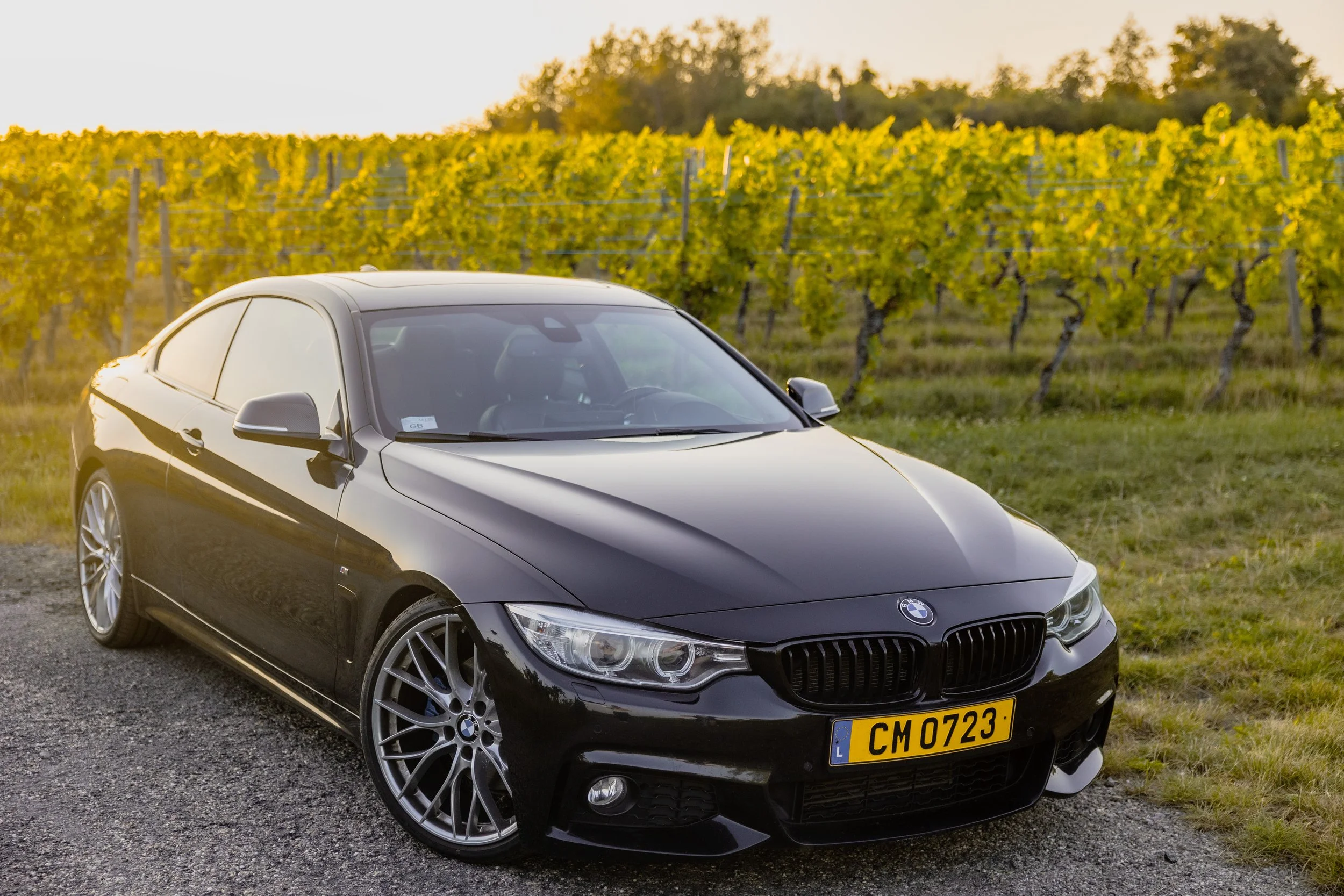_430d1.jpg