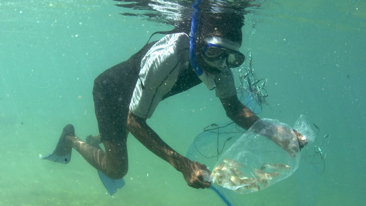 Lake Shore Lodge Tz - Lake Tanganyika - Fish extractor with fish.jpg
