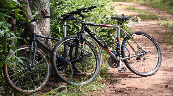 Mountain Biking.png