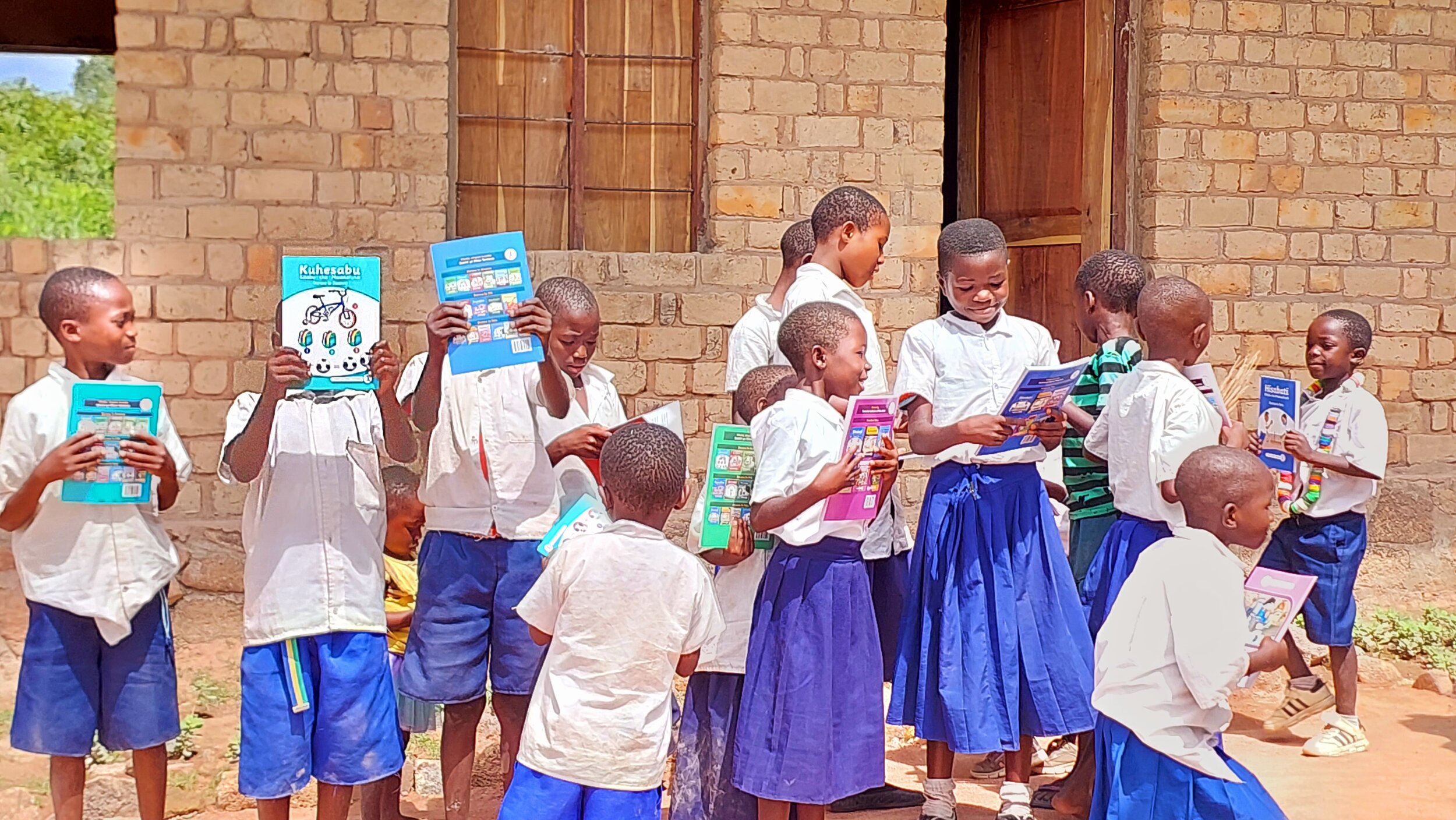 Sustain Lake Tanganyika NGO - Books for Ulwile Primary School.jpg