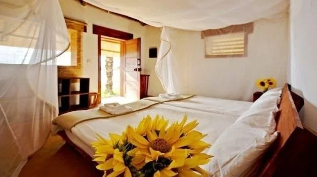 Lake Shore Lodge Lawn Banda interior with sunflower.jpg