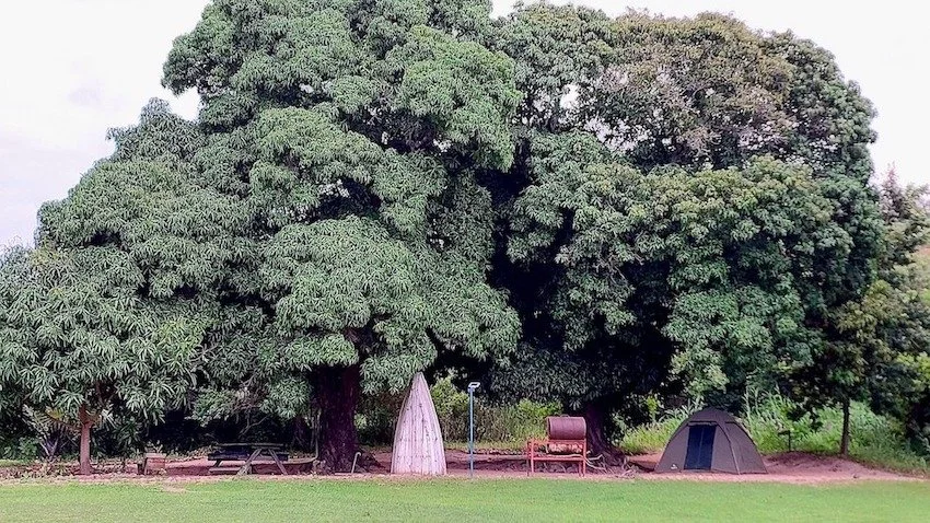 Lake Shore Lodge Campsite 4 front.jpg